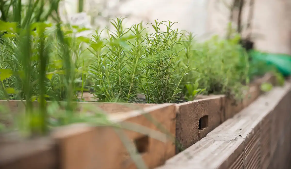 Ashtech Presidential Towers